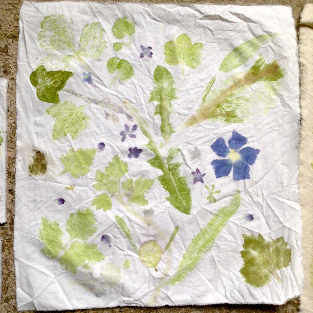 3_IMG_5477 copie.JPG